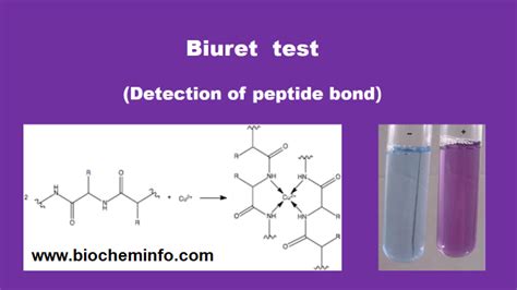 biuret test principle|Biuret test: Principle, Requirements, Procedure and .